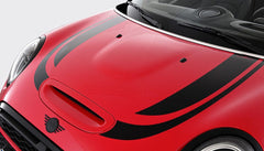 AC Schnizter Decal Set
