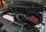 Roush 2015-2017 F-150 2.7L/3.5L EcoBoost Cold Air Kit (Incl. Raptor)
