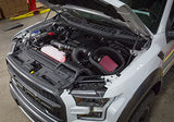 Roush 2015-2017 F-150 2.7L/3.5L EcoBoost Cold Air Kit (Incl. Raptor)