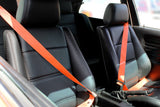 Gaphix Design Haus Belt Replacement Kit for BMW E30 M3 Coupe