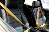 Gaphix Design Haus Belt Replacement Kit for BMW E30 M3 Coupe