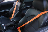 Gaphix Design Haus Belt Replacement Kit for BMW E46 M3 Coupe